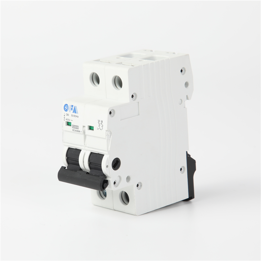 China OFIS-125A Series 2P Miniature Circuit Breaker Factories, Manufacturers
