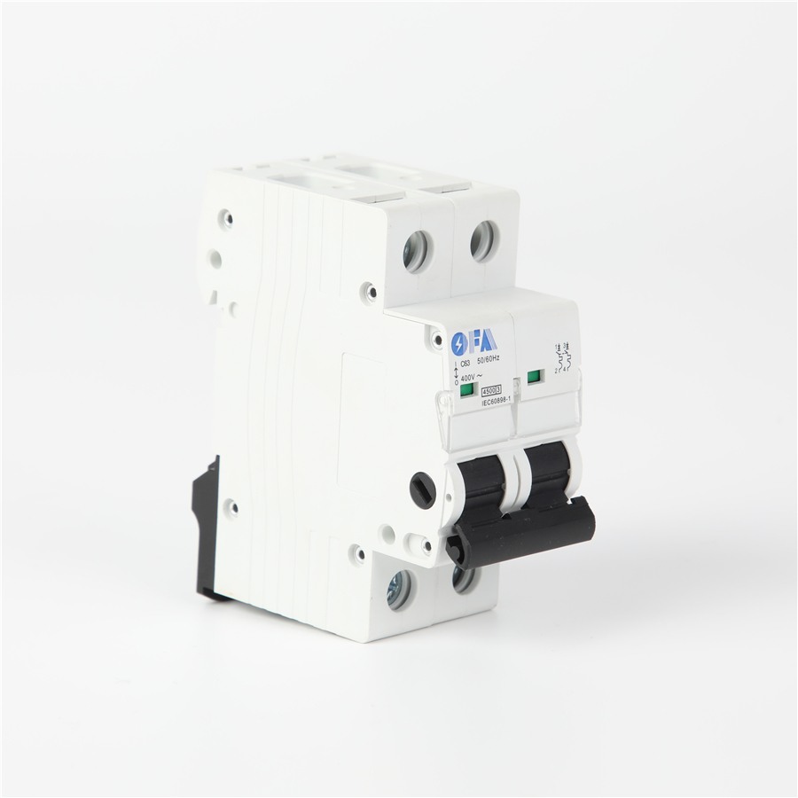 China OFIS-125A Series 2P Miniature Circuit Breaker Factories, Manufacturers