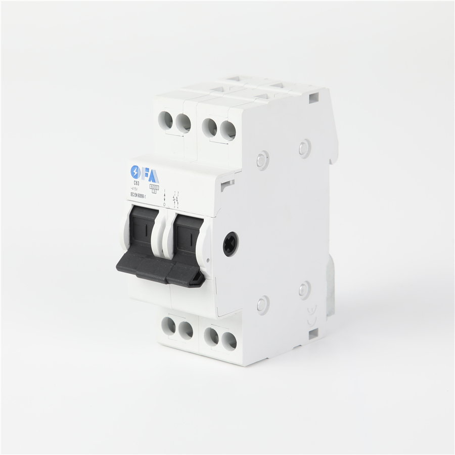China OFIS-DS Series C63 2P Miniature Circuit Breaker Factories, Supplier
