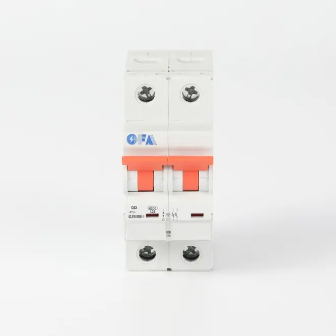 OFL7 Series 2P Miniature Circuit Breaker