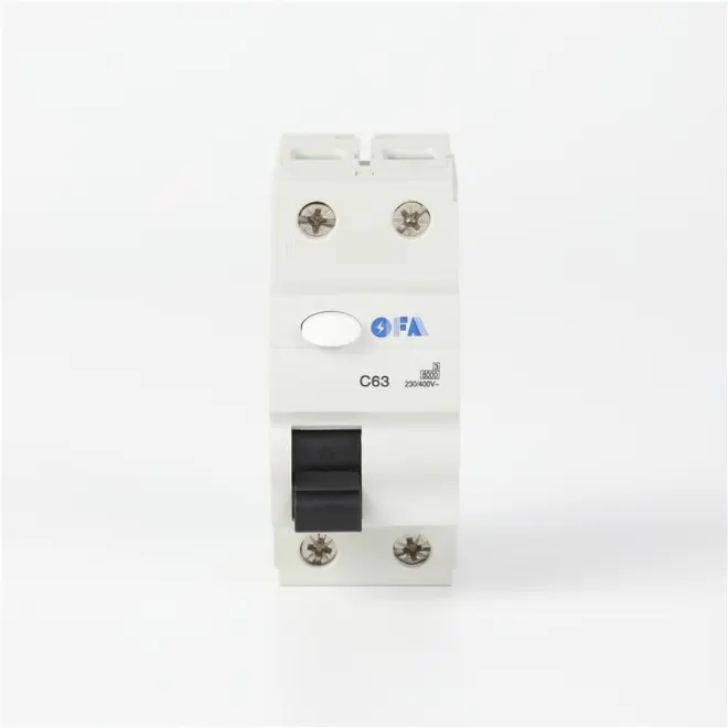 OFGX 2P63A High-Performance Miniature Circuit Breaker