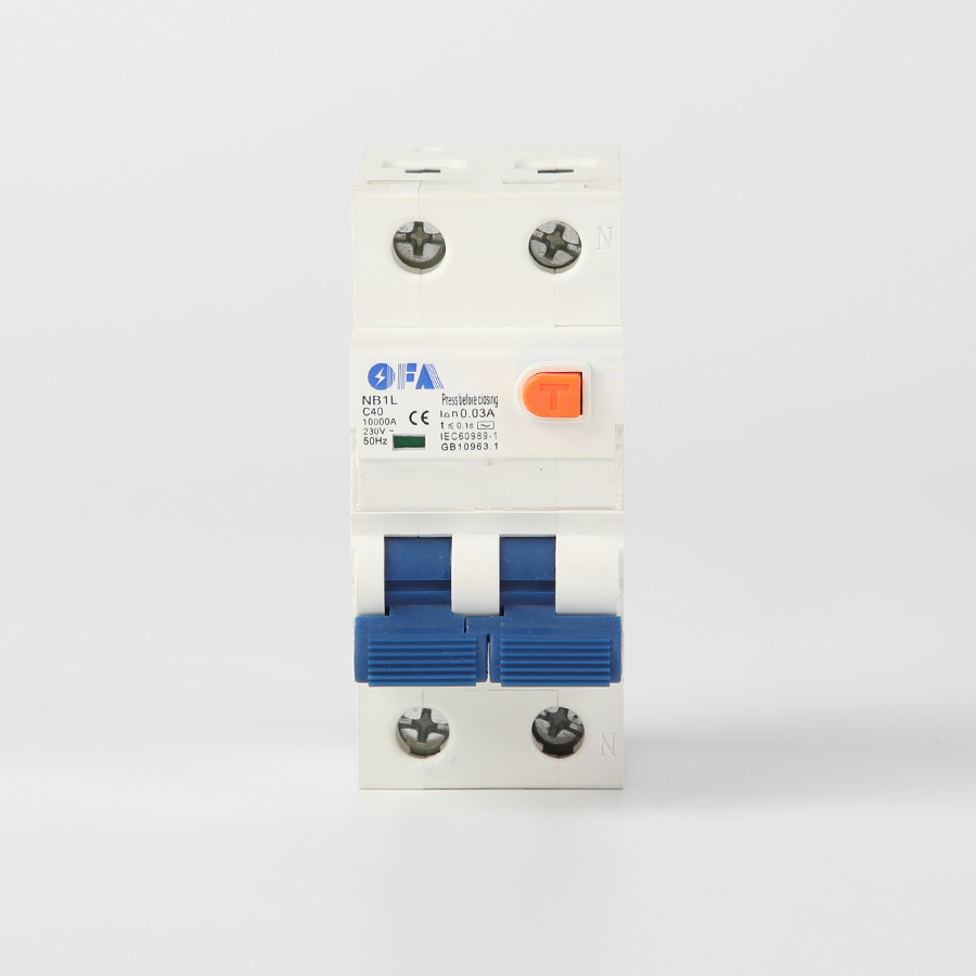 China NB1L Series 2P Residual Current Circuit Breaker Factories, Factory