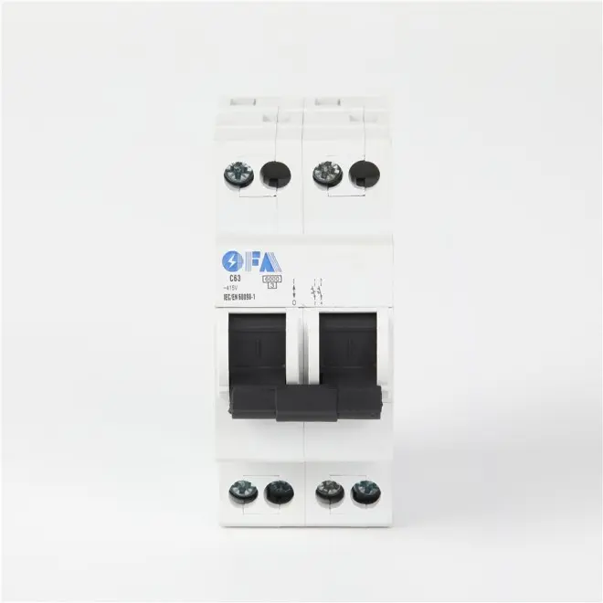 OFIS-DS Series C63 2P Miniature Circuit Breaker