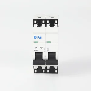 OFD4Z7 Series 2P Miniature Circuit Breaker
