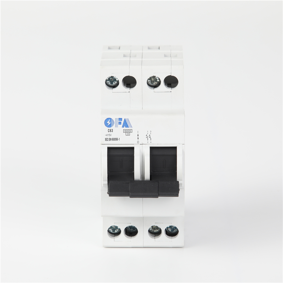 China OFIS-DS Series C63 2P Miniature Circuit Breaker Factories, Supplier