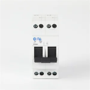 China OFIS-DS Series C63 2P Miniature Circuit Breaker Factories