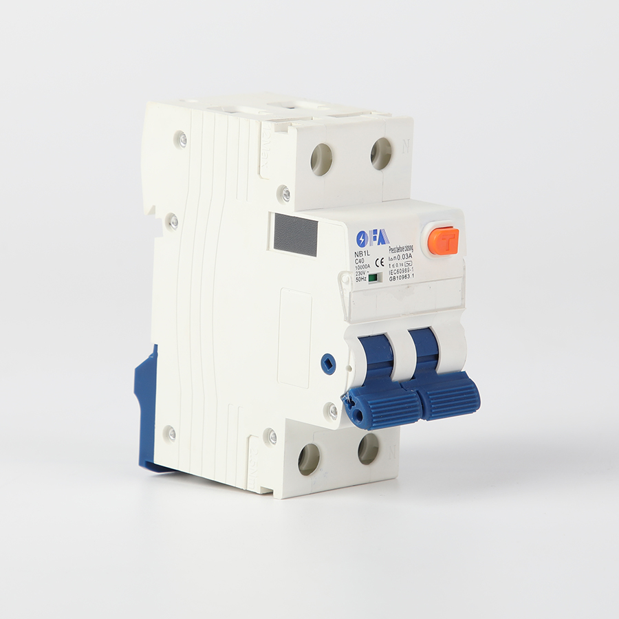 China NB1L Series 2P Residual Current Circuit Breaker Factories, Factory