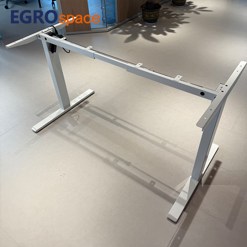 Egrospace Adjustable Height Table Electric Standing Single Motor Stand up Ergonomic Lifting Office Desk