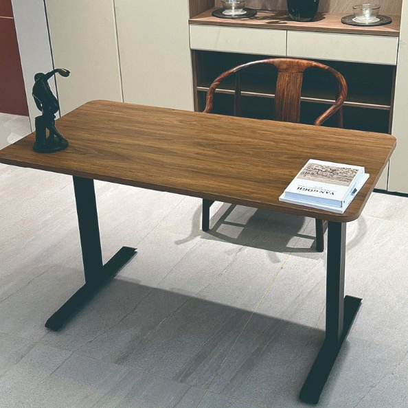 Ws-Sg2bj-01 Dual Motor Electric Ergonomic Height Adjustable Standing Desk