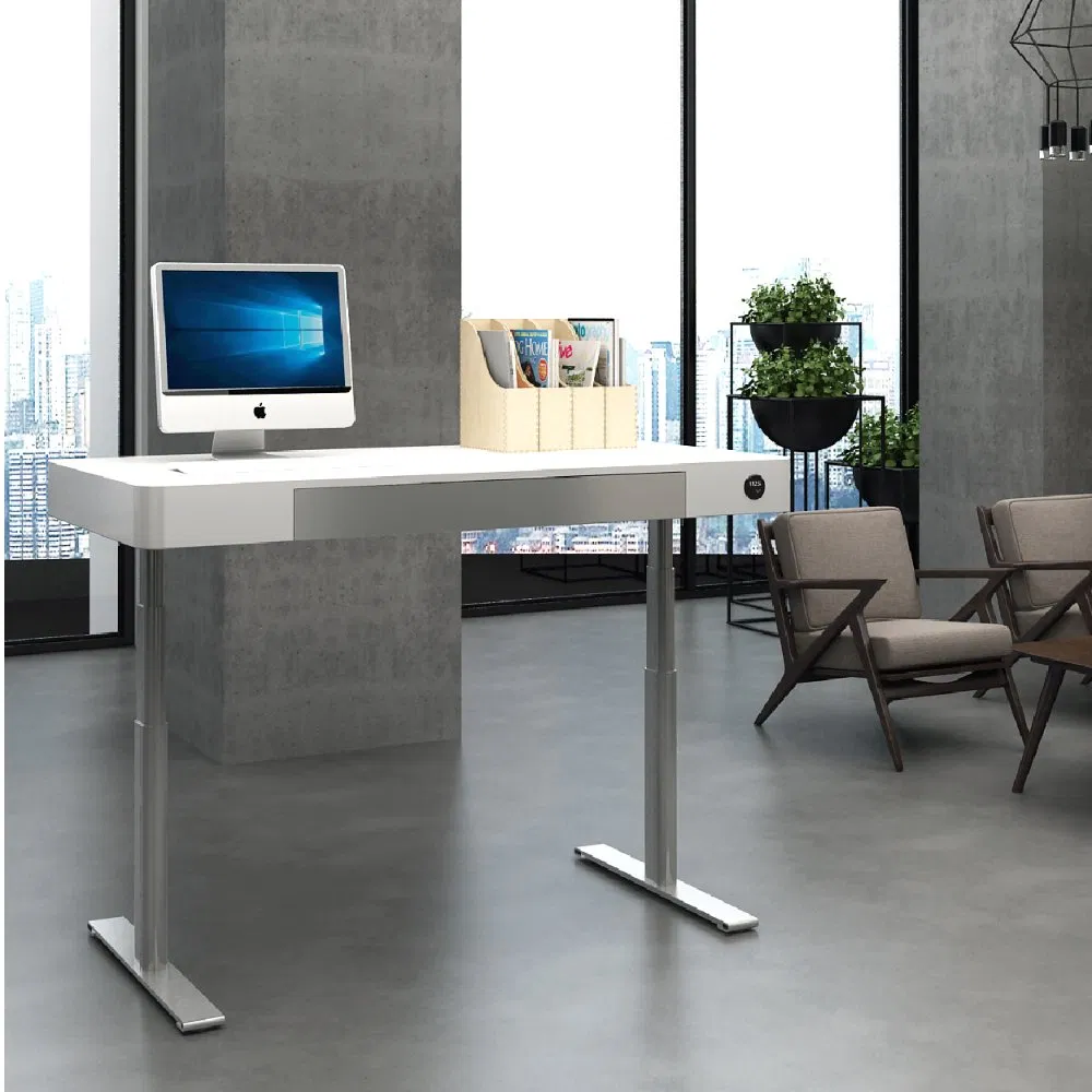 Jiecang Dual Motor Luxury Height Adjustable Executive Standing Desk