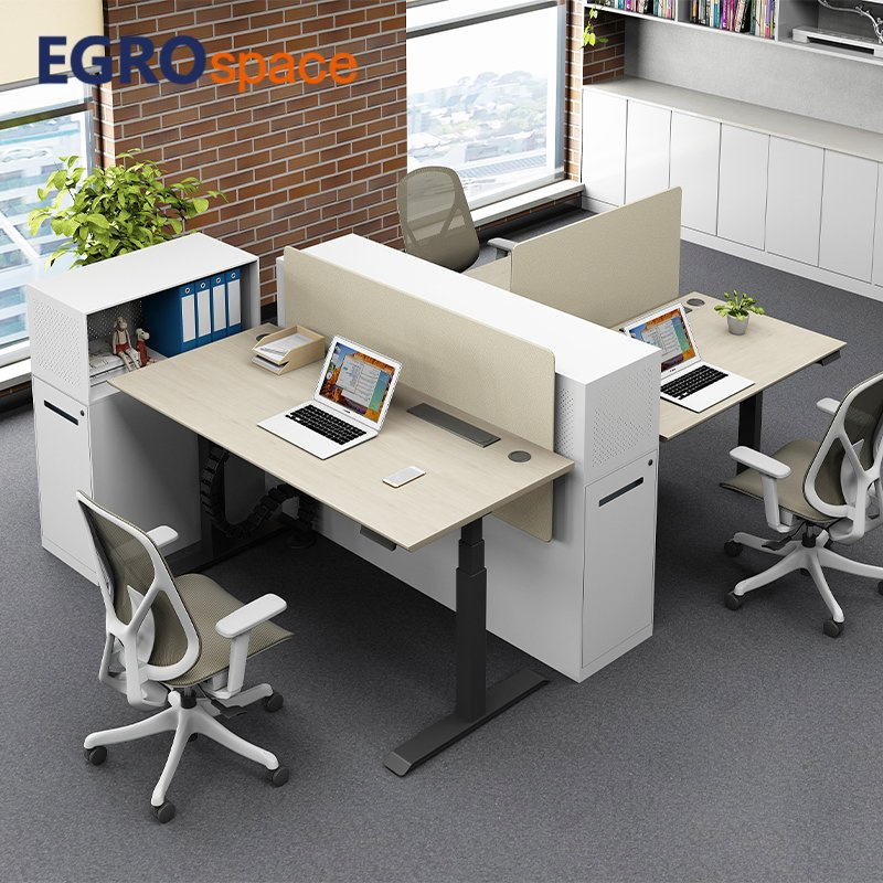 Egrospace Height Adjustable Standing Sit Stand Dual Motor Furniture Electric Automatic Table Ergonomics Office Desk