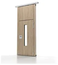 Single Pass Door with Window