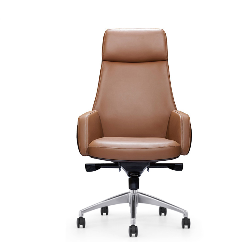 Low Back Comfortable Simple Ergonomic Waiting Guest Meeting Office Leather Chair