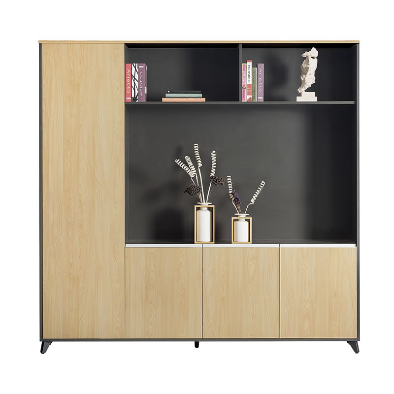 Modern Panel Glass Door Office Filing Cabinet Cupboard (H70-0687)