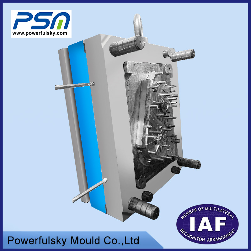 Precision Electronic Connector Plastic Injection Mold Factory