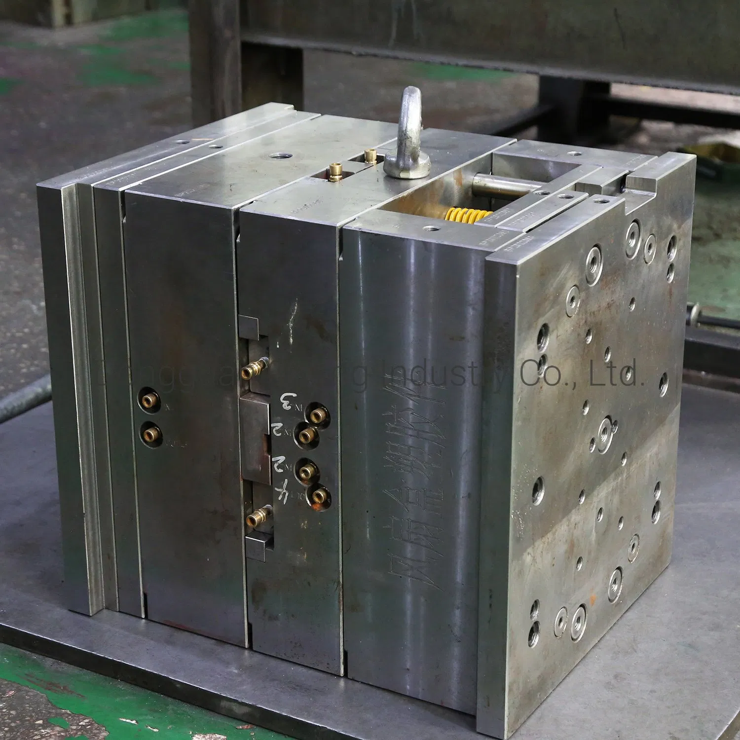 High-Quality Double Color Mold for Home Appliance Manufacturing