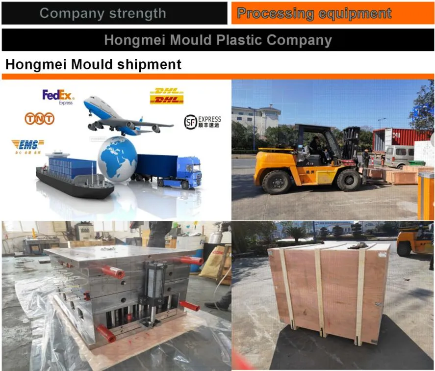 Mould packaging in robust wooden cases for safe shipping