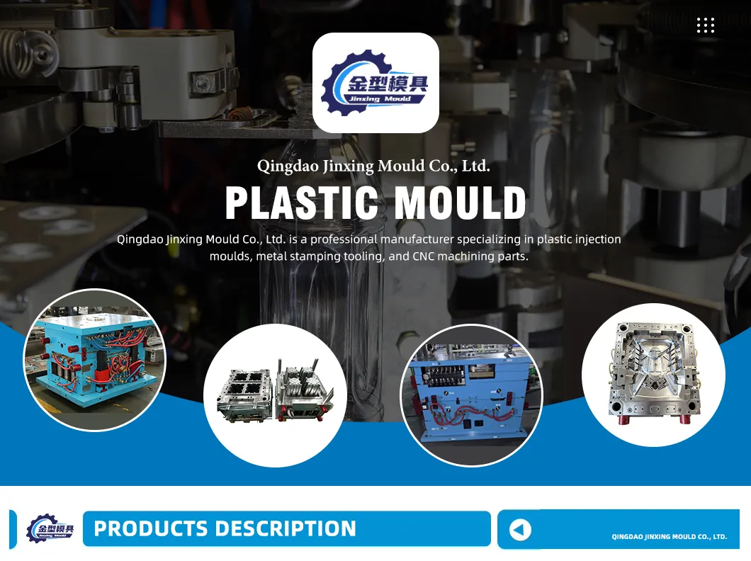 Precision Plastic Injection Mold Component
