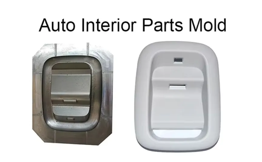 Mold Show 2