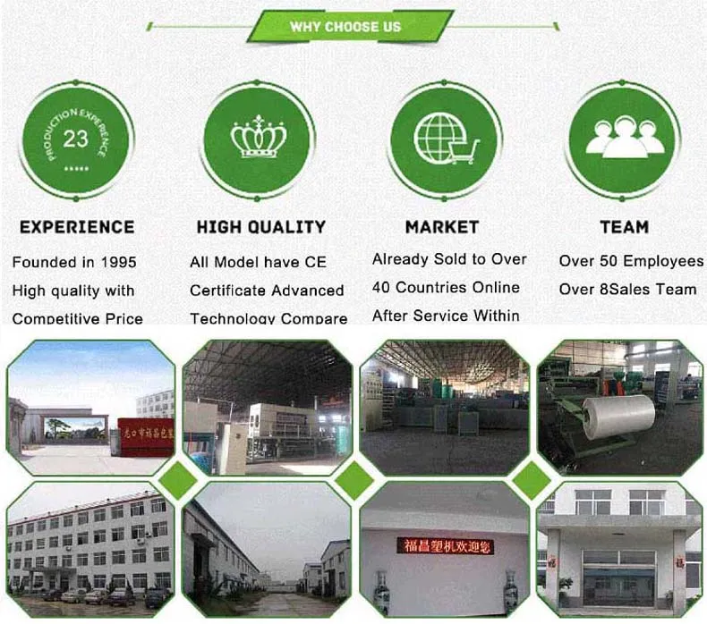 Pulp Mold Production Process Gallery 1