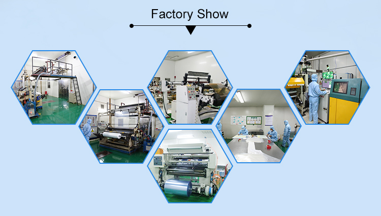 Pharmaceutical Packaging