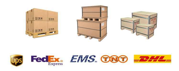Packaging and Shipping Process