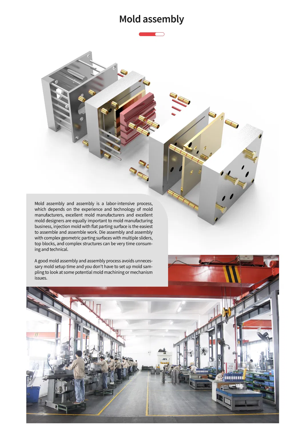 Capability 6