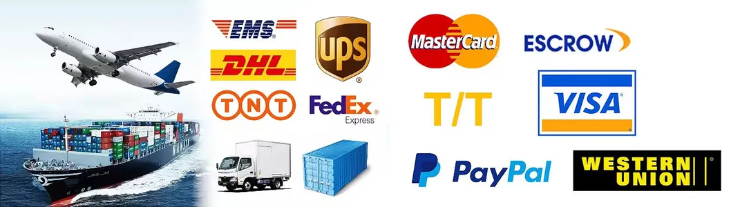 Shipping Info