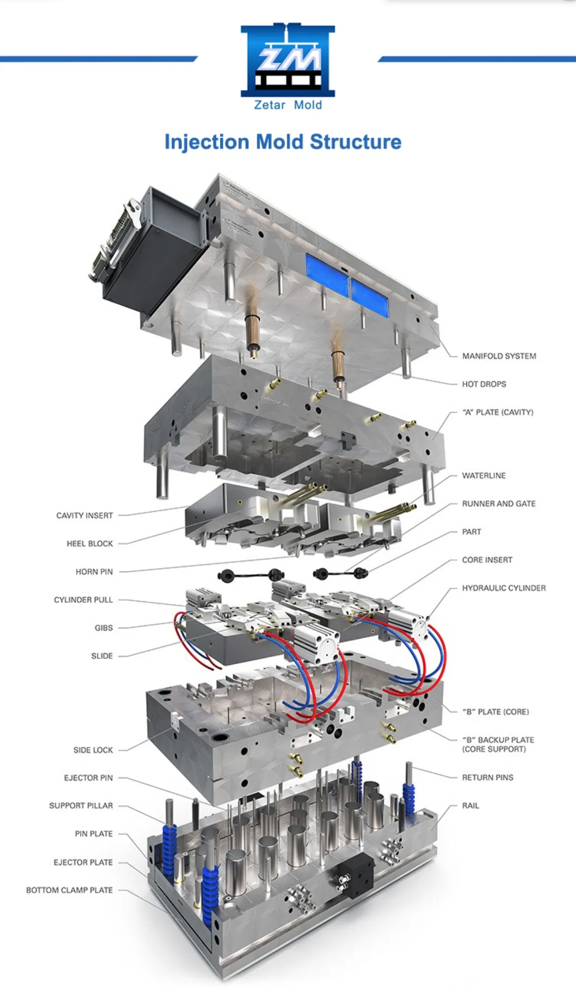 Case Study Details