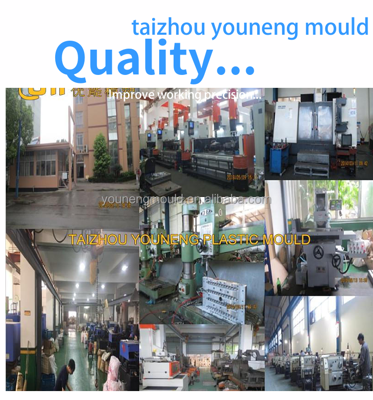 Mould Sample