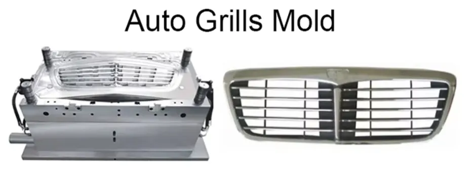 Mold Show 3