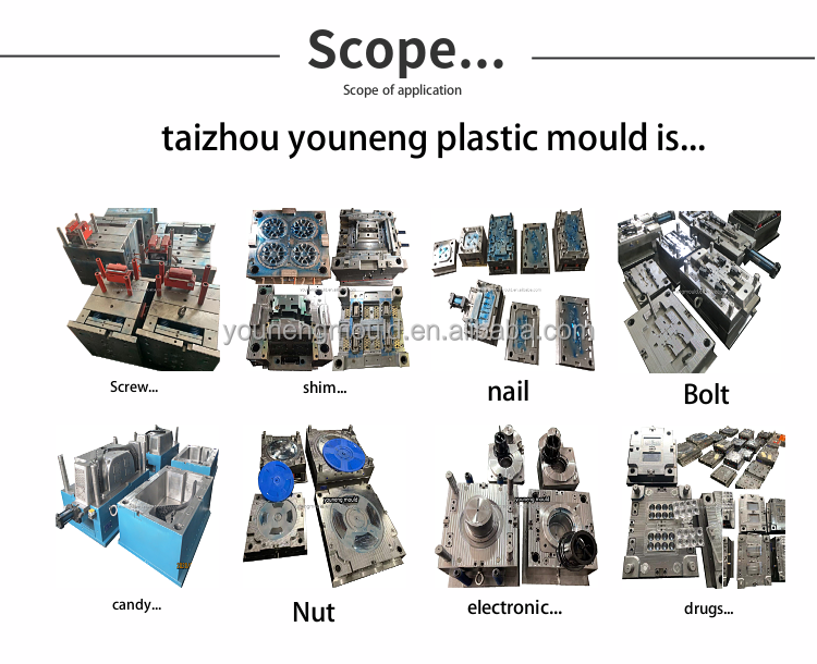 Mould Sample