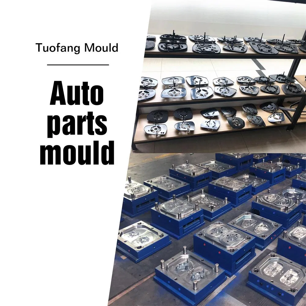 Mould Showcase 1