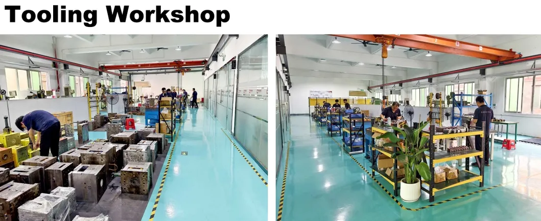 Mold Show 6