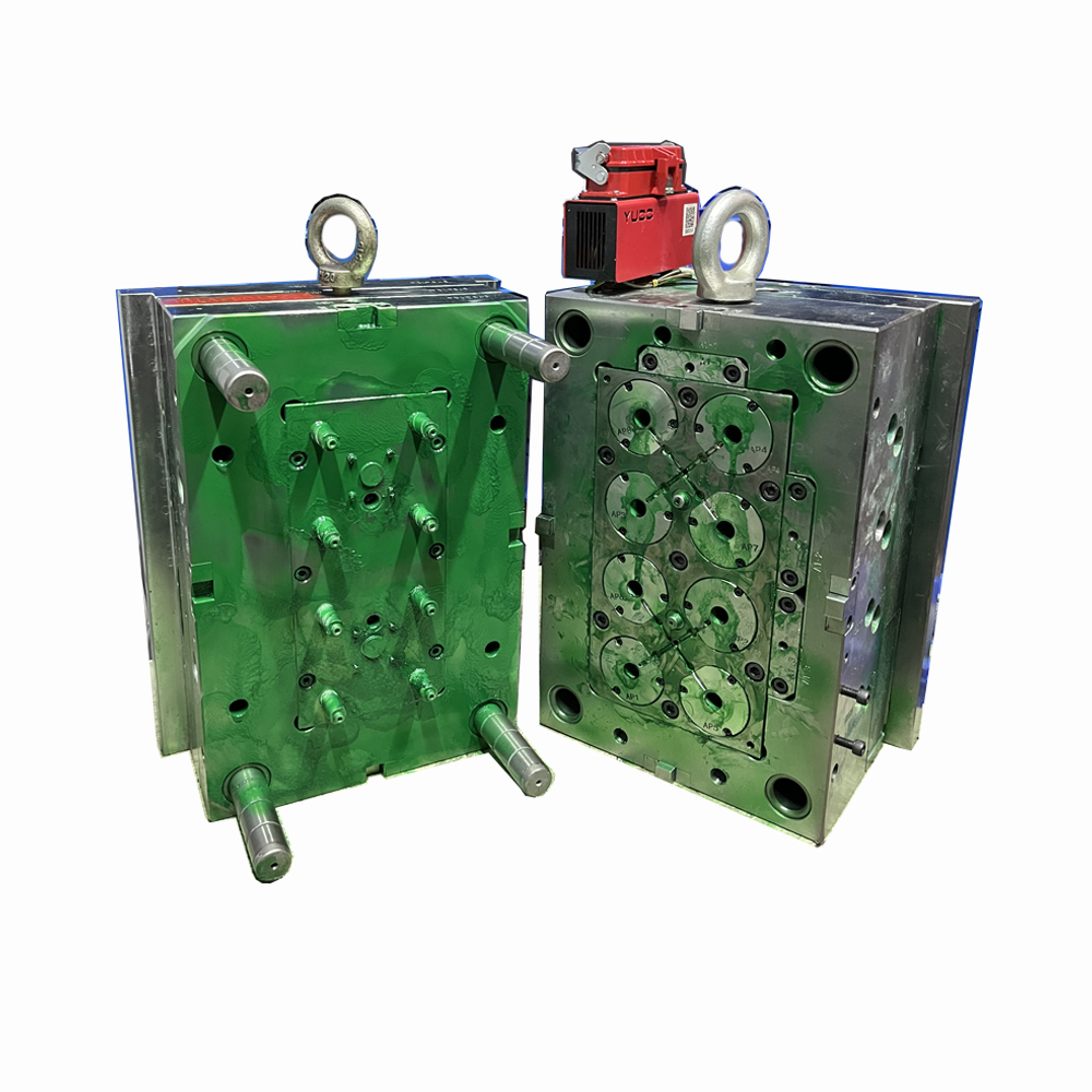 Mold Sample