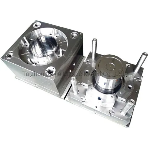 Food Storage Mould