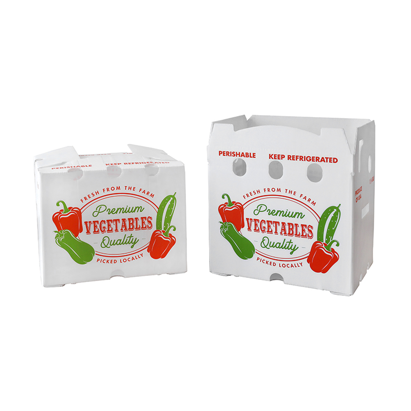 Factory OEM/ODM Corrugated Plastic Foldable Turnover Box Plastic Fruit and Vegetable Box