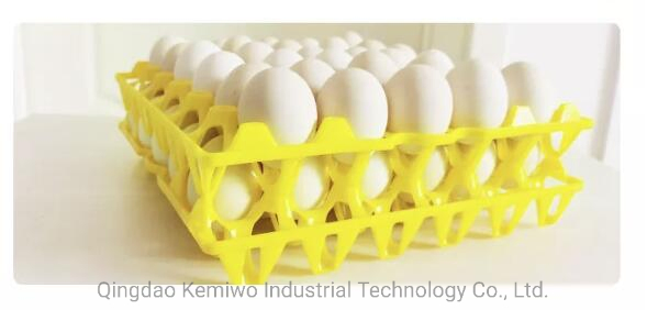 Chicken Farm Egg Wholesale Transport Tray Blister Box Skin