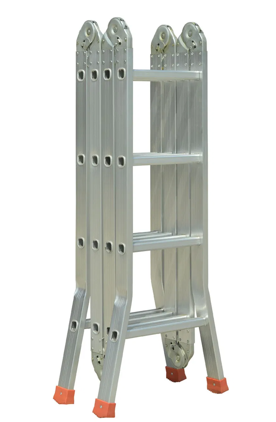 Multi-Purpose Ladder Display