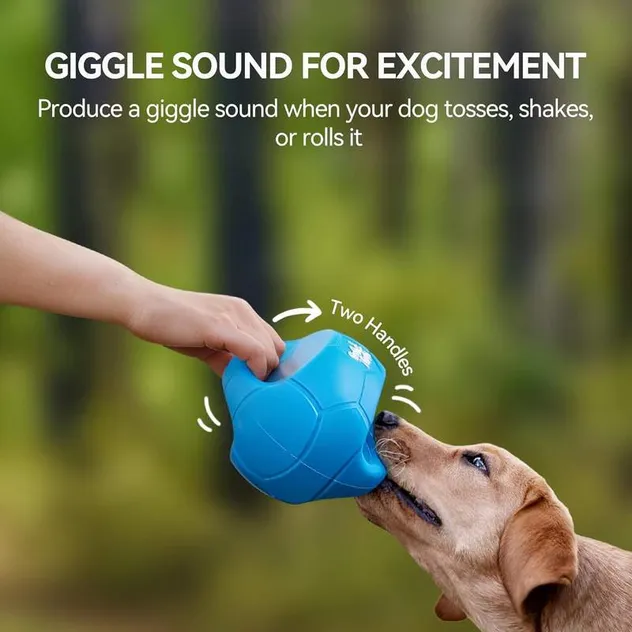 Pet Training Toy