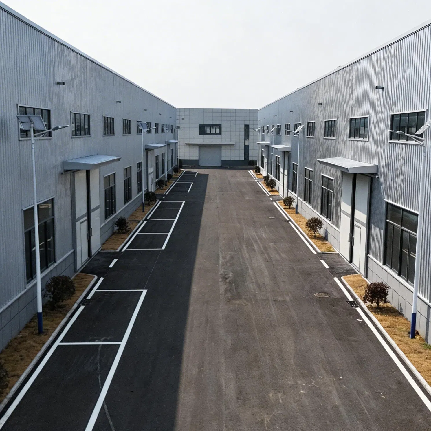 Steel Structure Workshop for Southeast Asia Industrial Park Construction