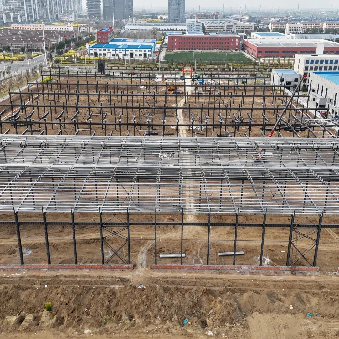 Steel Structure Workshop for Southeast Asia Industrial Park Construction