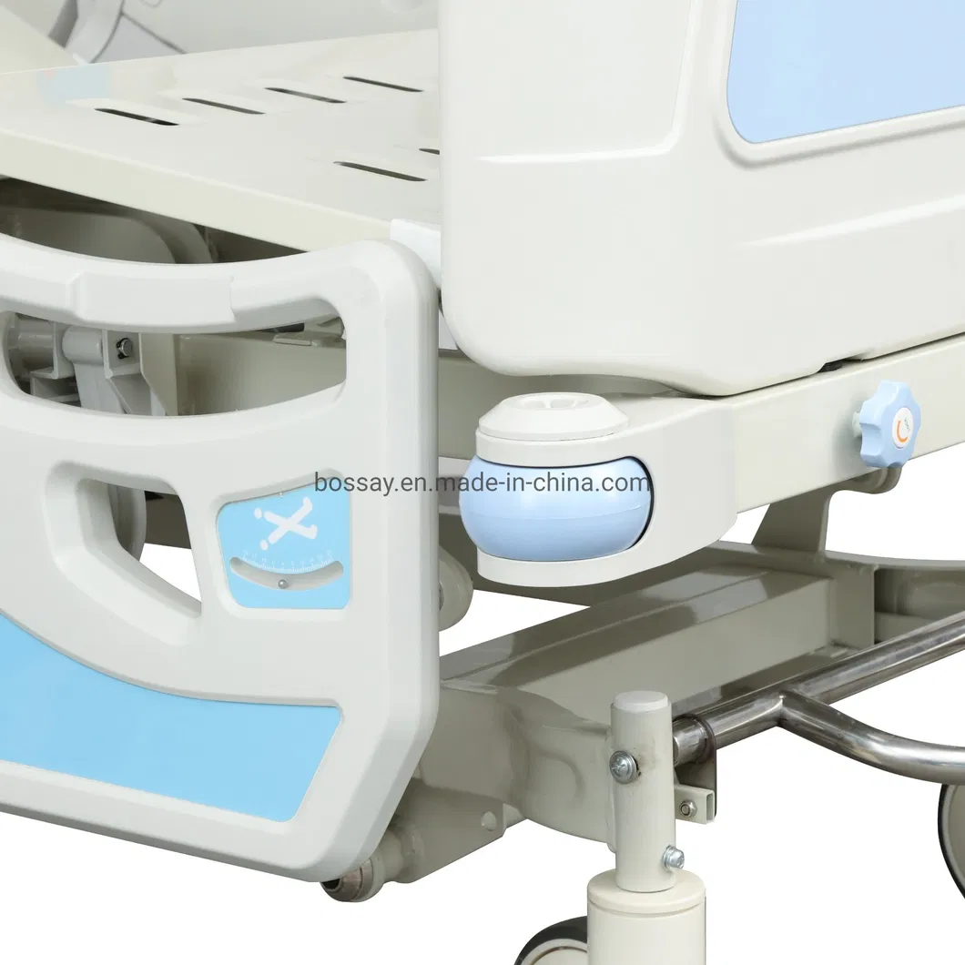 Medical ICU Bed Side View