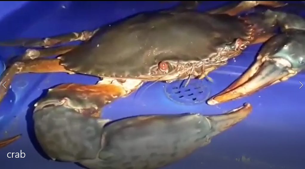 Recycling Water Equipment