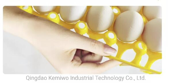 Chicken Farm Egg Wholesale Transport Tray Blister Box Skin