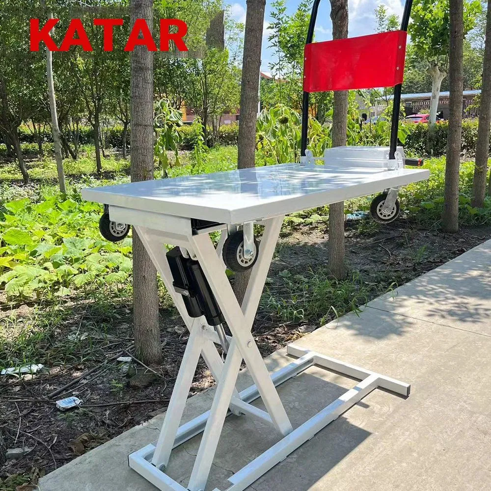 CE/EPA Scissors Hydraulic Electric Mobile Platform Motorcycle Stationary Manual Pallet Roller Scissor Lift Table Hand Trolley
