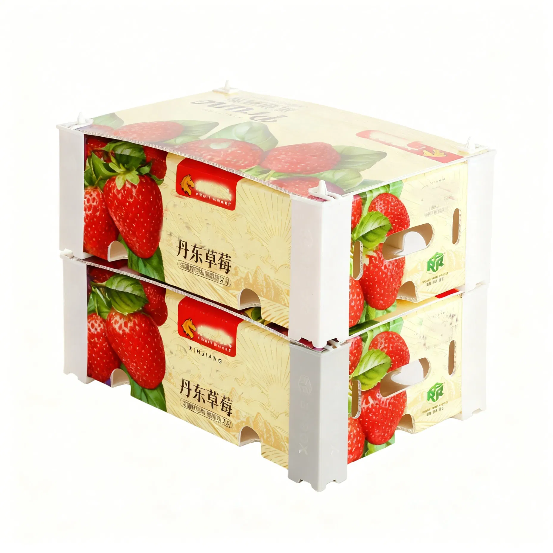 Customizable Vegetable Fruit Chicken Fish Thermal Insulation Cooler Shipping Stone Strawberry Boxes