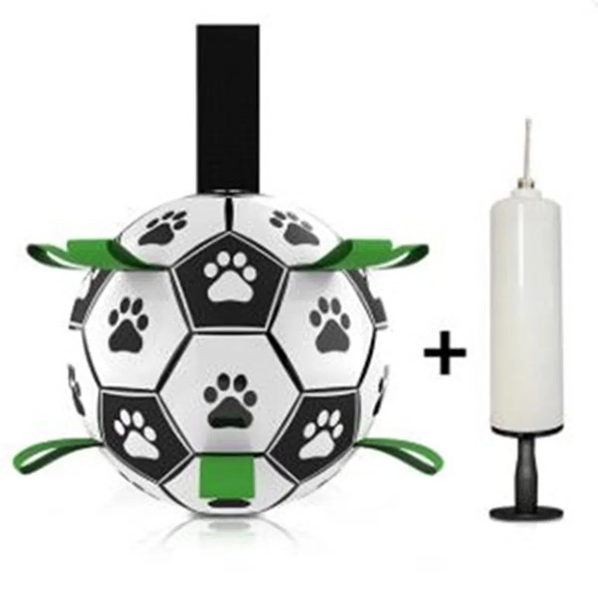 Wholesale Pet Supplies Yiwu Sourcing Agent Yiwu Market All Pet Products