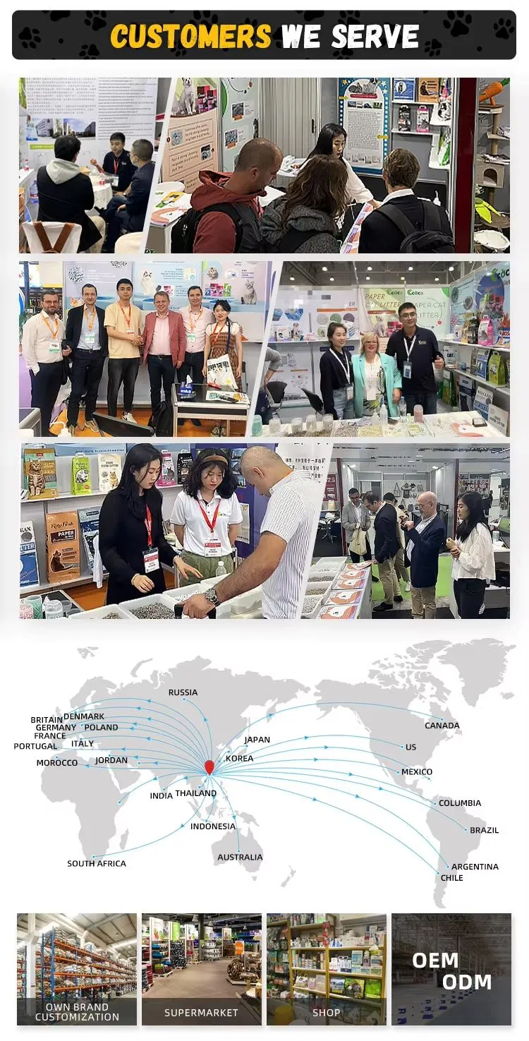 Global Exhibitions