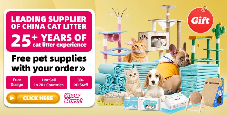 Pet Pee Pad Display 1